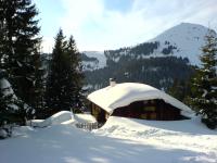 Wintersport